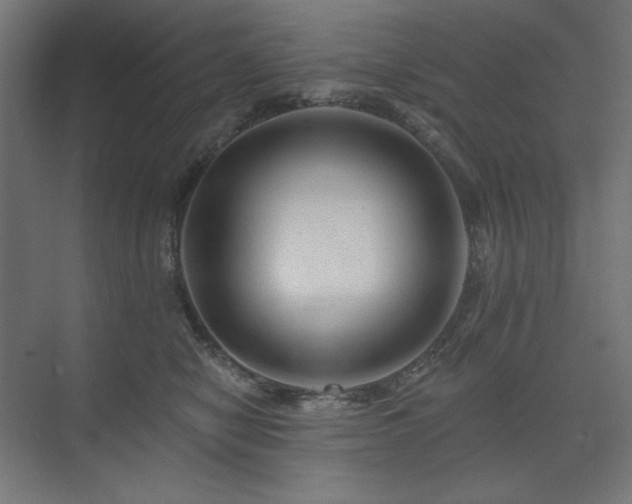 X0000074280470200608251323