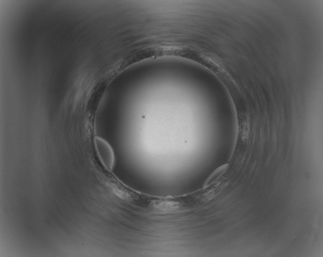 X0000074280476200608251323