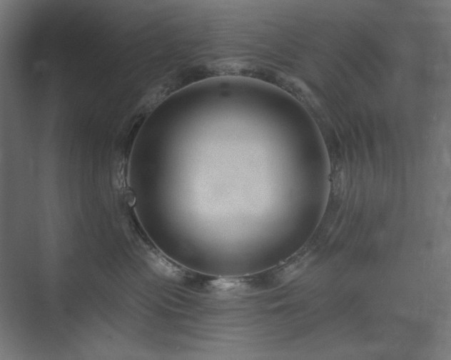 X0000074280477200608251323