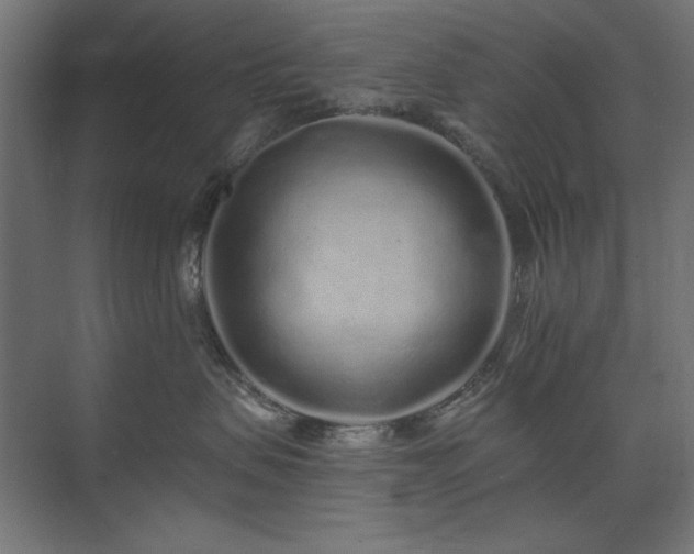 X0000074280479200608251323