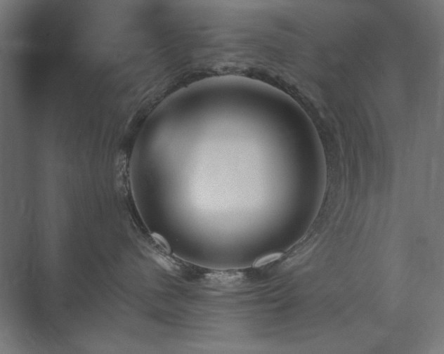 X0000074280480200608251323