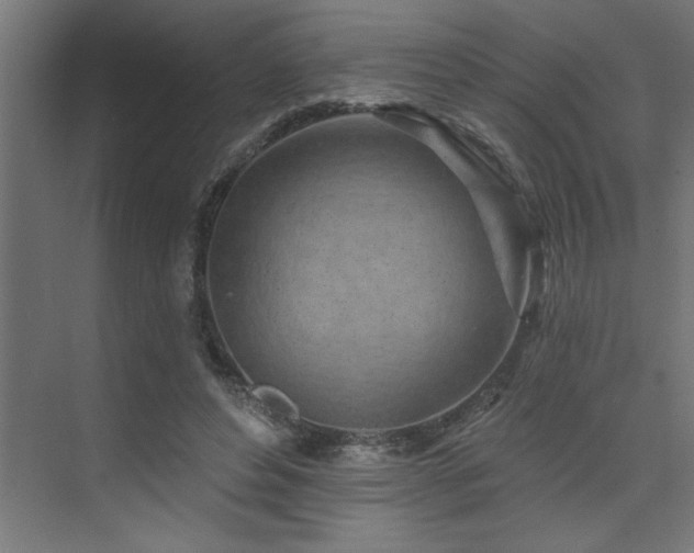 X0000074280496200608251322
