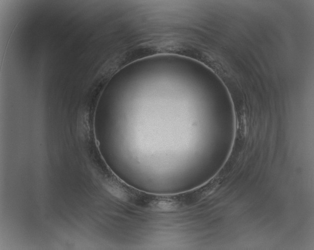 X0000074280506200608251322