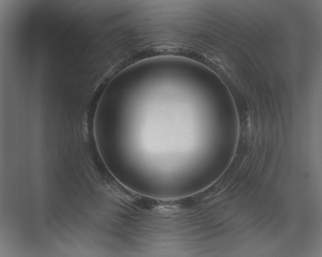 X0000074280508200608251322
