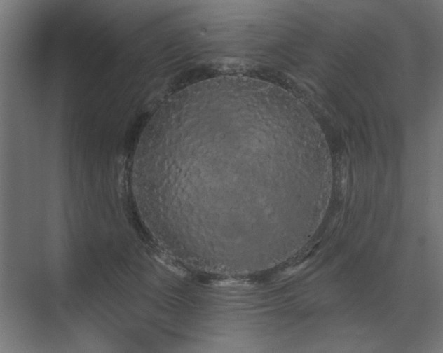 X0000074280511200608251322