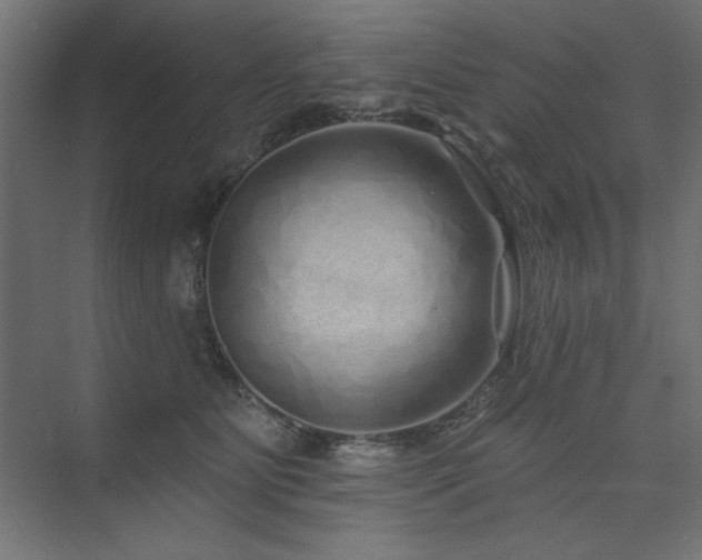 X0000074280515200608251322
