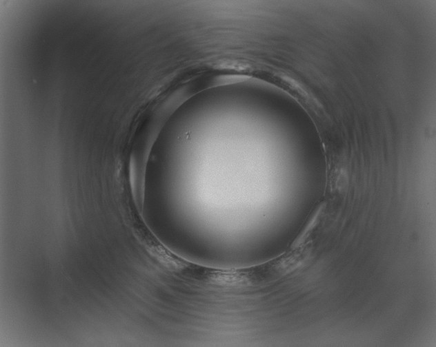 X0000074280521200608251321
