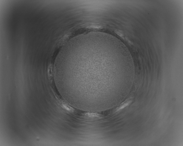 X0000074280528200608251321