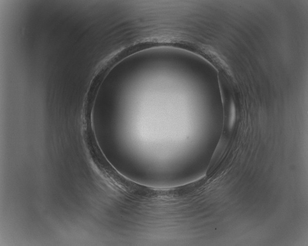 X0000074280536200608251321