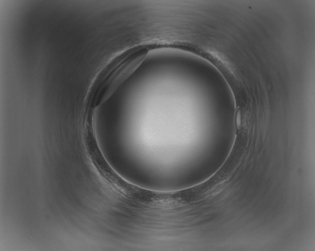 X0000074280540200608251321
