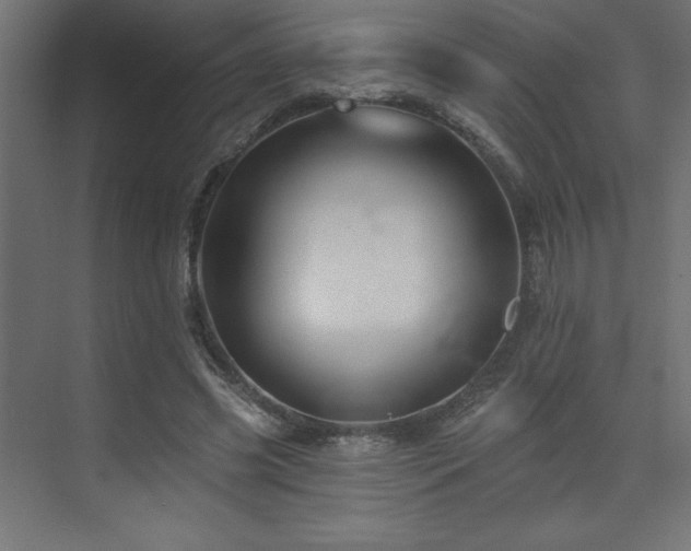 X0000074280541200608251321