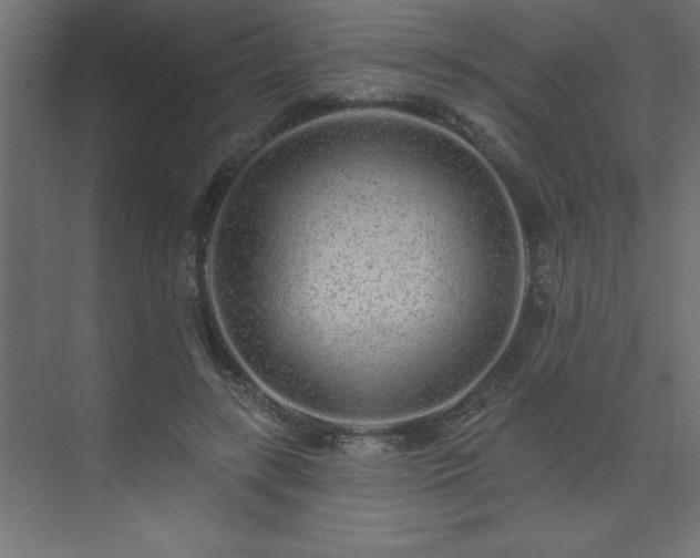 X0000074280547200608251321