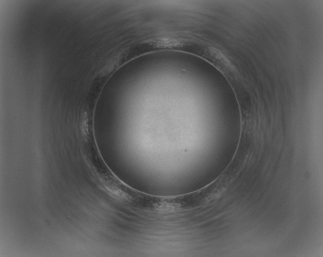 X0000074280549200608251321