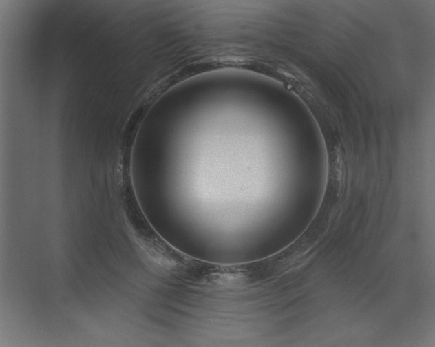X0000074280552200608251321