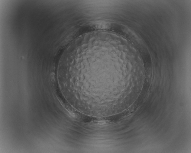 X0000074280553200608251321