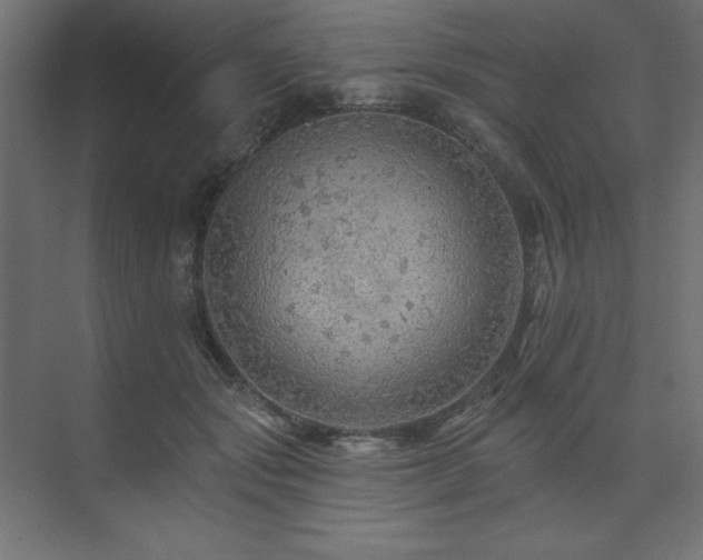 X0000074280557200608251321