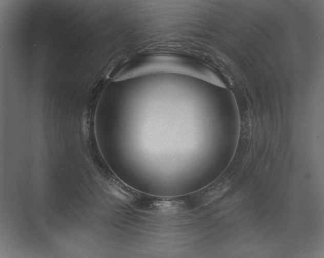 X0000074280558200608251321