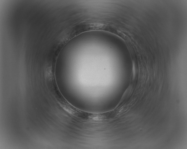X0000074280564200608251321
