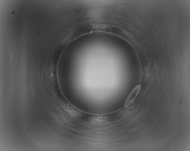 X0000074280567200608251321