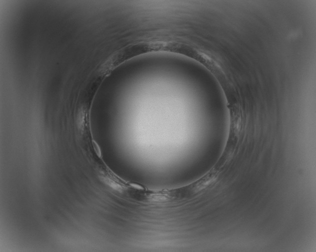 X0000074280574200608251321