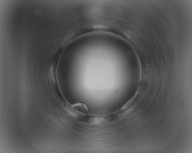 X0000074280575200608251321