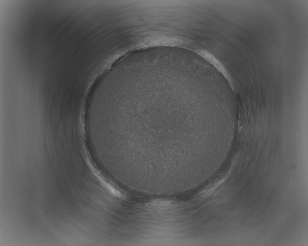 X0000074280581200608251320