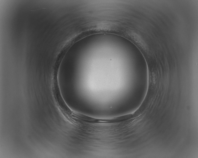 X0000074280588200608251320