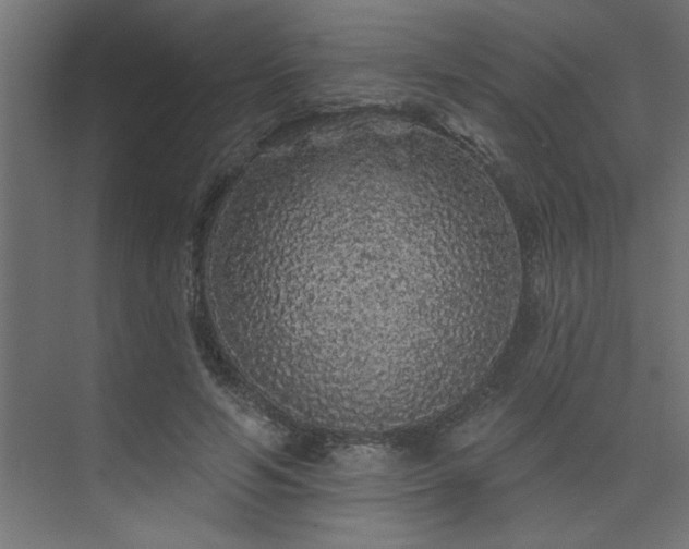 X0000074280594200608251320