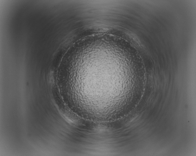 X0000074280598200608251320