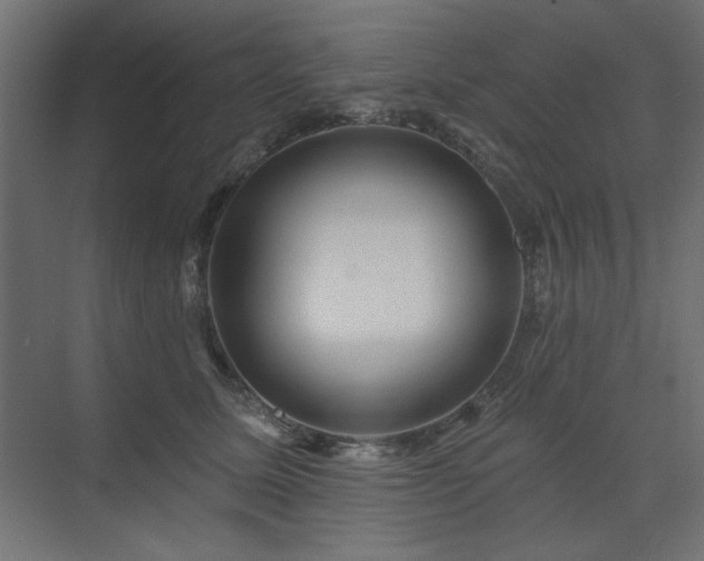 X0000074280611200608251320