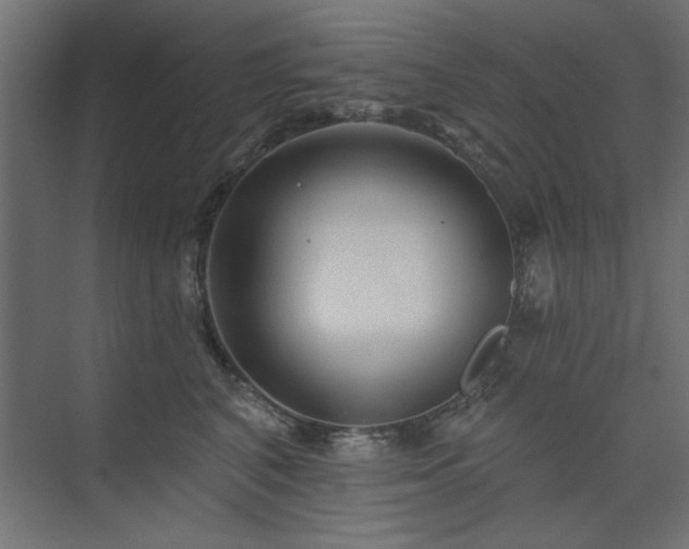 X0000074280616200608251320