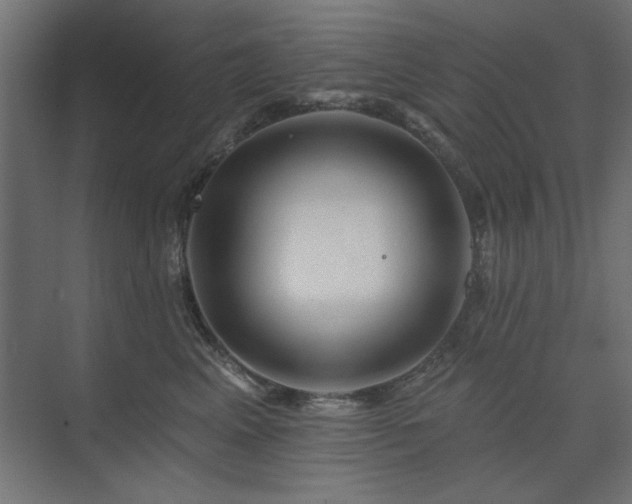 X0000074280617200608251320