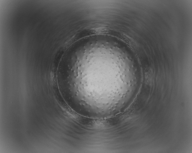 X0000074280618200608251320