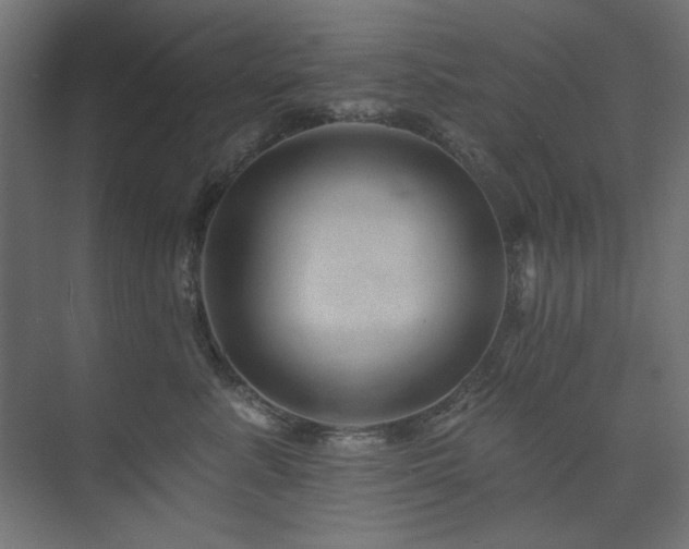 X0000074280619200608251320