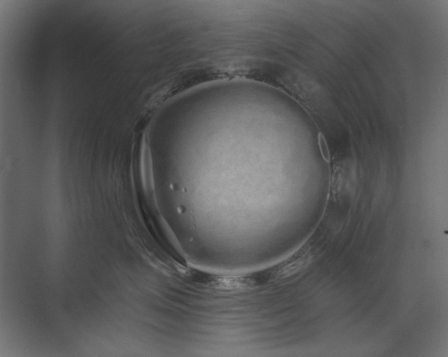 X0000074280623200608251320