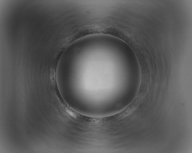 X0000074280624200608251320