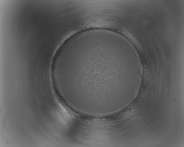 X0000074280626200608251319