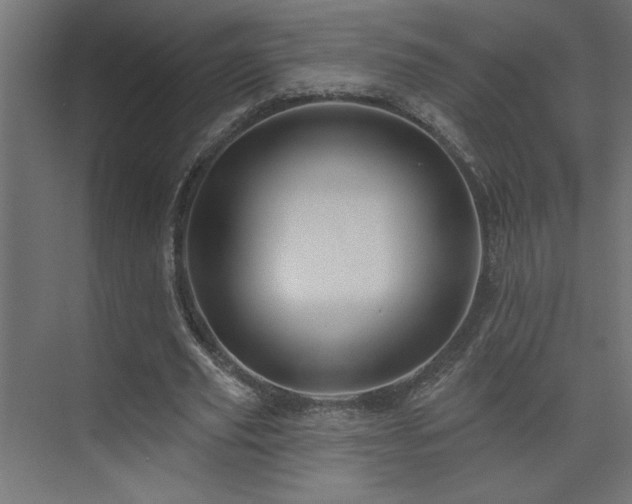 X0000074280629200608251319