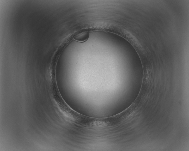X0000074280636200608251319