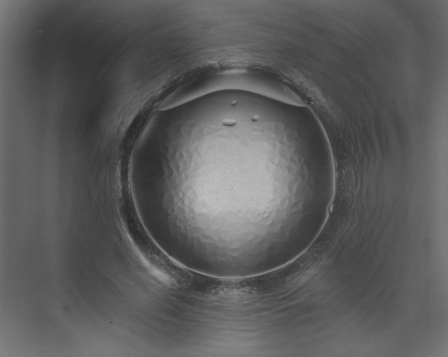 X0000074280638200608251319