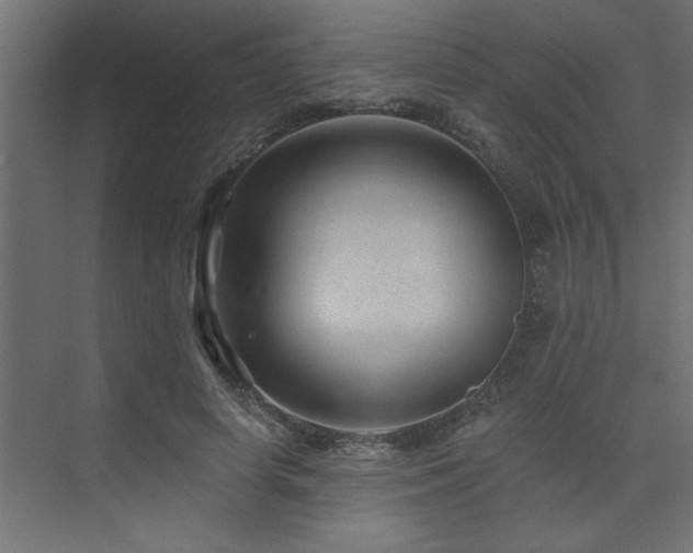 X0000074280642200608251319