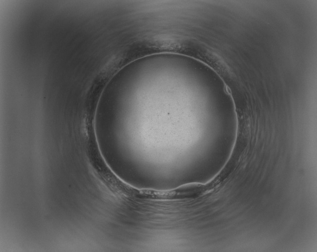 X0000074280643200608251319