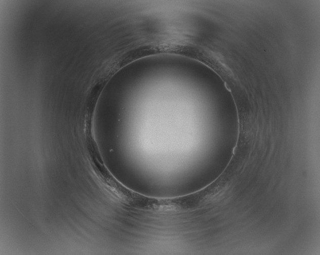 X0000074280645200608251319