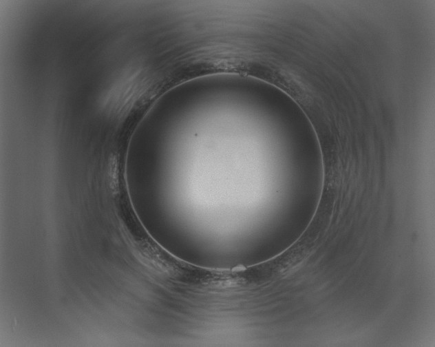 X0000074280646200608251319