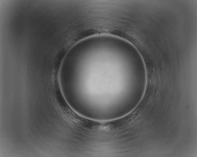 X0000074280647200608251319