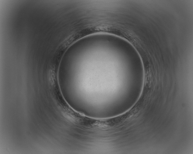 X0000074280648200608251319