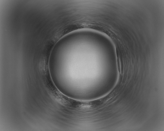 X0000074280651200608251319