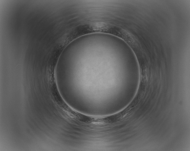X0000074280653200608251319