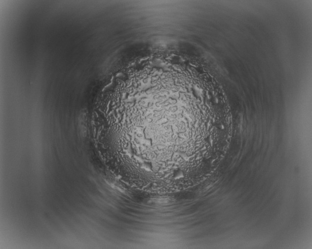 X0000074280659200608251319