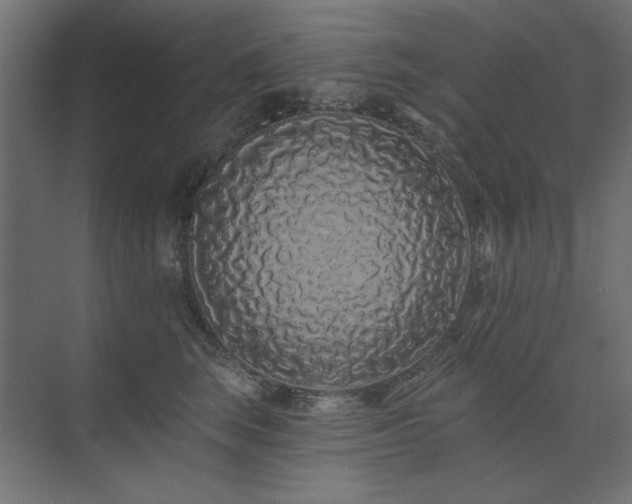X0000074280663200608251320